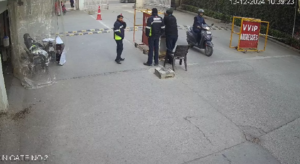 Screenshot 2024 12 13 155211