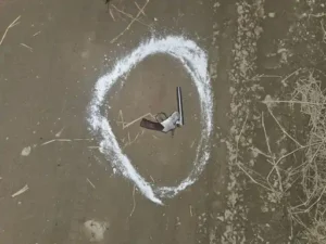 dcca34b3 adc2 49a9 a9fd 640b2e97a30c 1733845238998