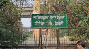 Screenshot 2025 01 01 145652