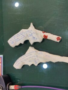 WhatsApp Image 2025 01 27 at 1.34.18 PM