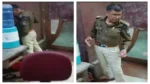 Viral Video News
