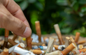 Screenshot 2025 02 20 213534