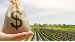 Your paragraph text 1 7