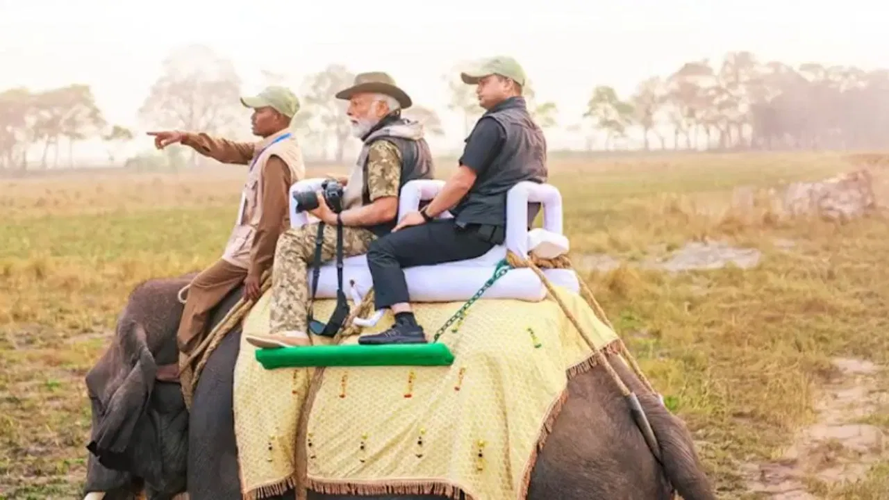 PM Modi Lion Safari