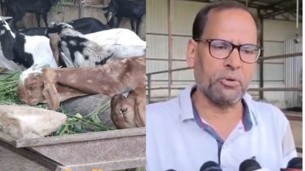 Eid al-Adha 2025