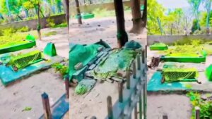 अवैध मजार