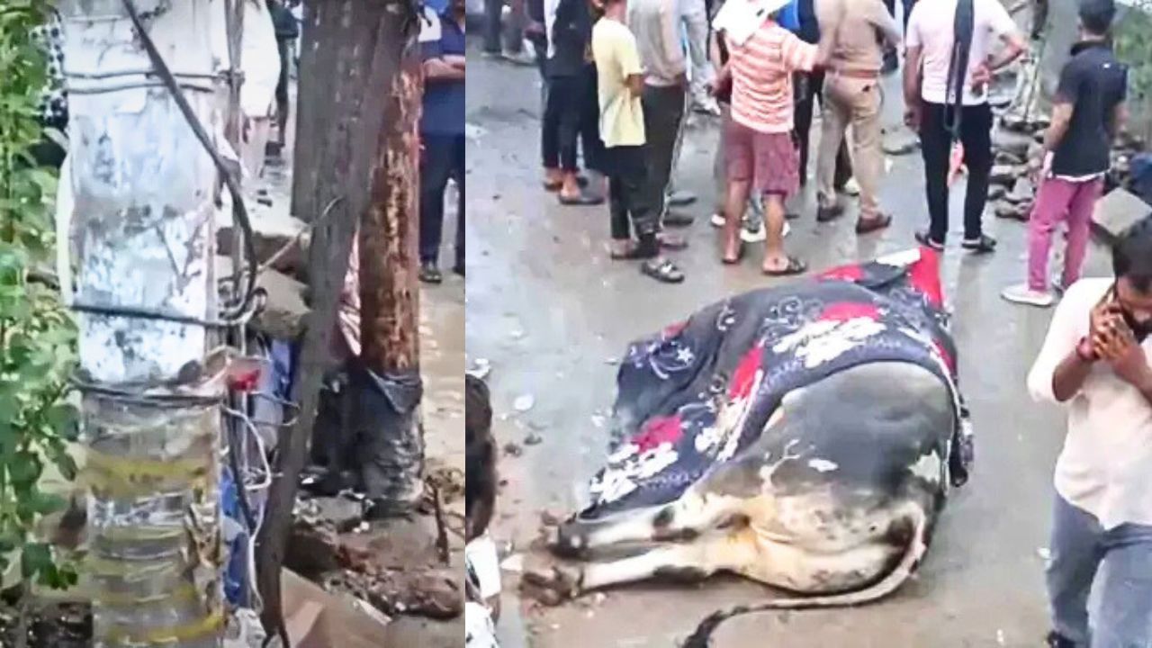 Untitled design 2025 07 01T123836.767