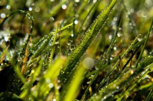 Reason behind Humidity