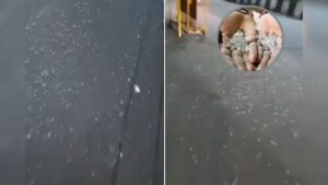 Kanwar Yatra 2025: कांवड़ियों के मार्ग पर कांच के टुकड़े फैलाए जाने से मचा हड़कंप, जांच जारी 2 Kanwar Yatra 2025