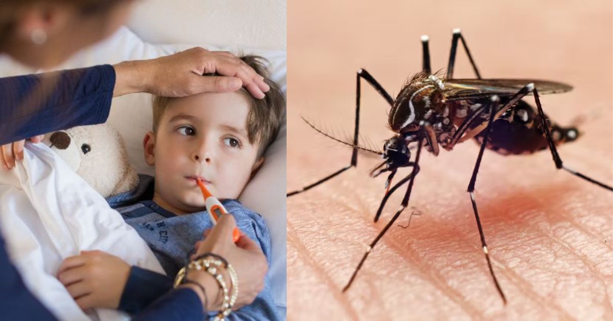 Dengue in Children: