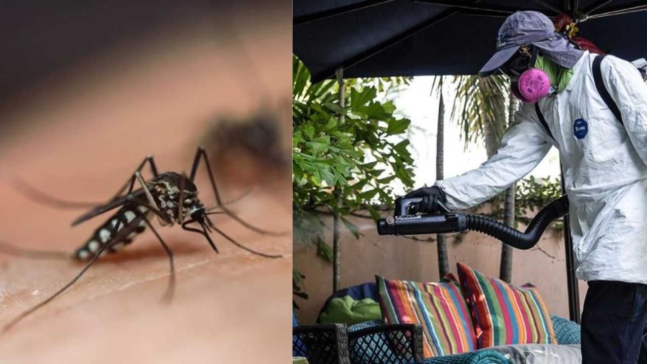 Malaria cases in Delhi