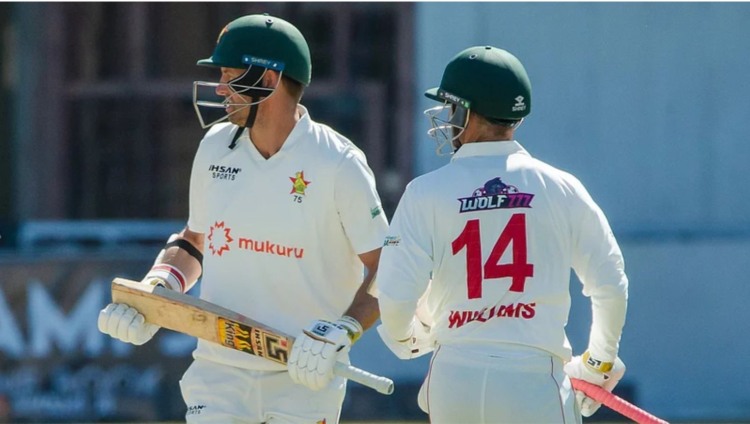 Zimbabwe vs New Zealand