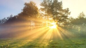 Vitamin-D Deficiency