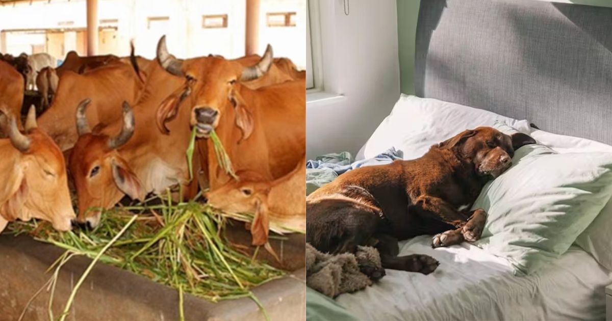 Climate Change : पहाड़ों से मैदान तक क्यों विकराल रूप में आई प्रकृति 4 Climate Change