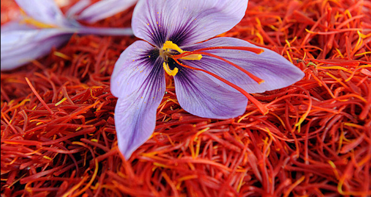 Which Saffron Is More Beneficial for Health?