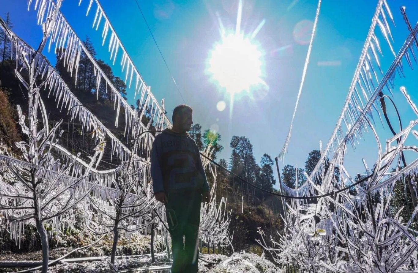 North India Cold Wave Update