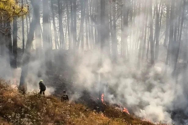 Kedarghati Forest Fire