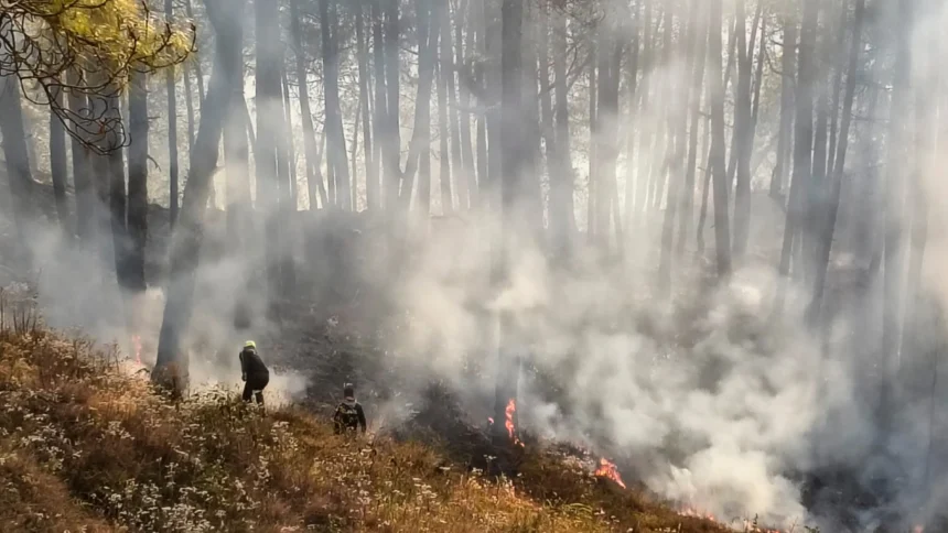 Kedarghati Forest Fire