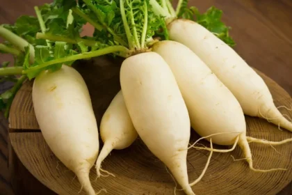 Raddish Winter Benefits