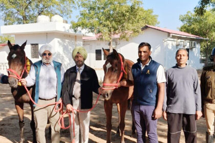 Rajasthan Police Mounted Unit