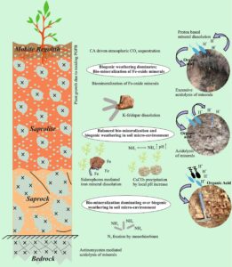 uk deh 01 himalayan rocks vis 7211404 05012026121639 0501f 1767595599 409