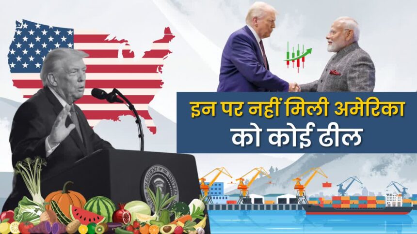 India US interim trade