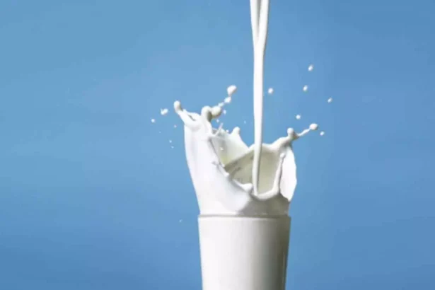 Adulterated Milk Death Case