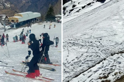 Auli Skiing Championship