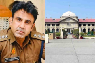 Untitled design 20260210 180551 0000