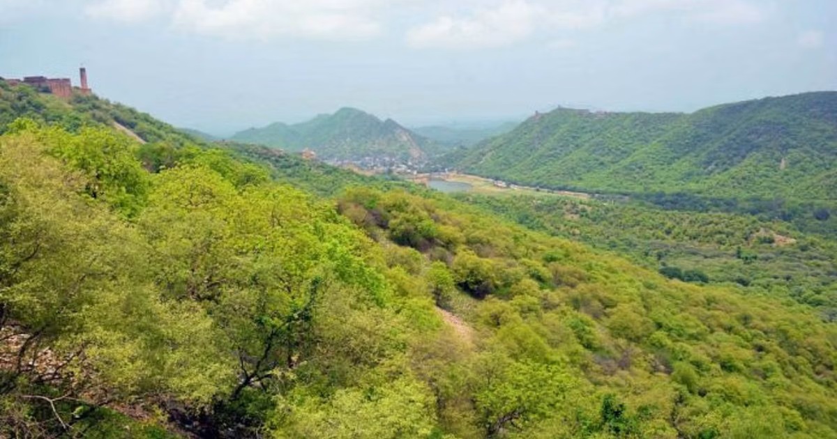 Aravalli Green Wall Program