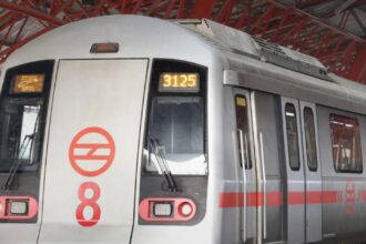 Delhi Metro for T20 Match