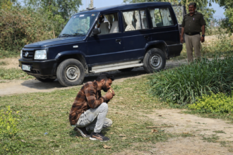 file 00000000e7407209813b2fdbf636fb82