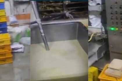 Gujarat Fake Milk Racket