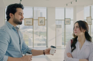 Meri Zindagi Hai Tu Pakistani Drama