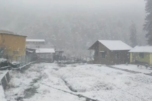 Uttarakhand snowfall