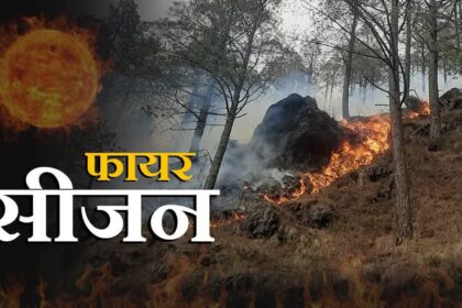 Forest Fire Season 2026