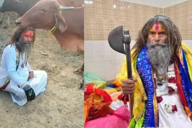 Mathura Road Accident