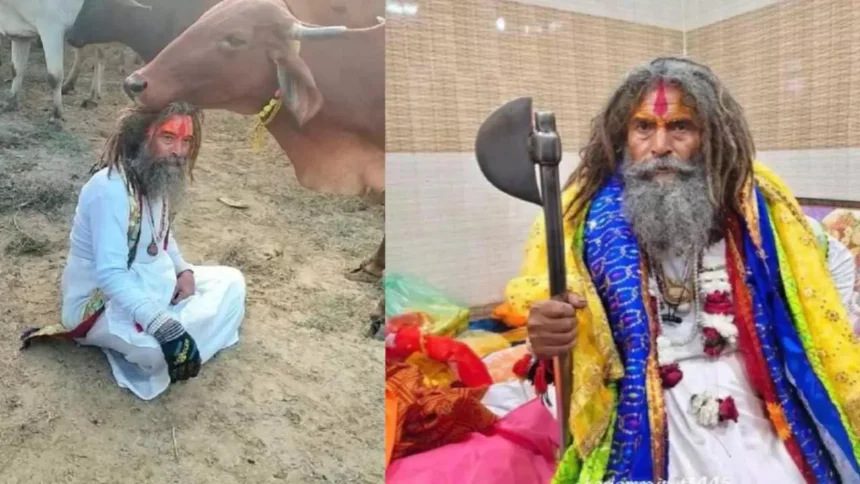 Mathura Road Accident