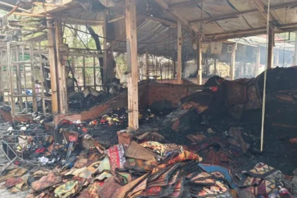 Delhi Nature Bazaar Fire