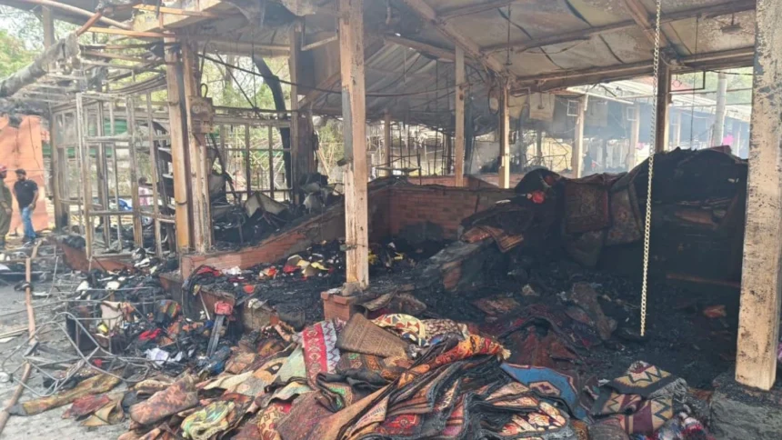 Delhi Nature Bazaar Fire