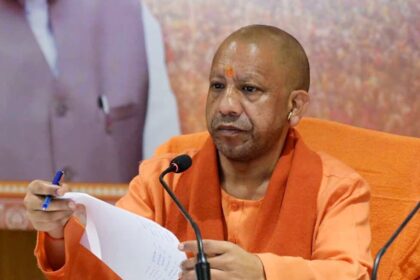 cm yogi 1763825690107 1763825690358 1764240180943