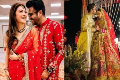 Hansika Motwani Divorce