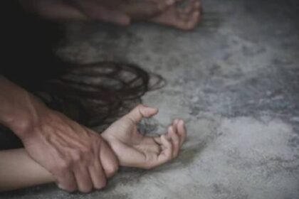 new project 2023 01 06t110513.626 768x432 1