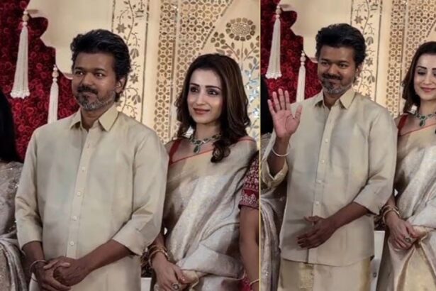 Thalapathy Vijay Trisha Wedding)