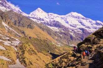 Pindari Glacier Trek Uttarakhand