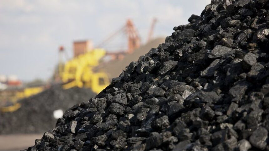 Stock Market News: Government stocks surge! Coal India gives investors surprise returns