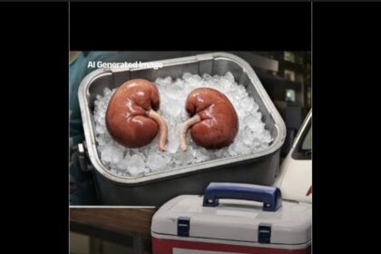 Kidney Racket Case Update