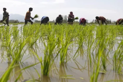 commodities mclink 01fin 770x433 1