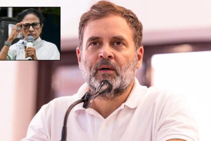 Rahul Gandhi on Mamata Banerjee