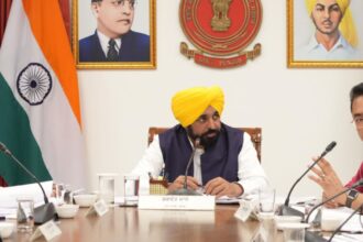 Punjab Cabinet Decisions 2026